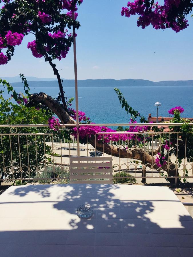 Apartments Jurakovic Živogošće Εξωτερικό φωτογραφία