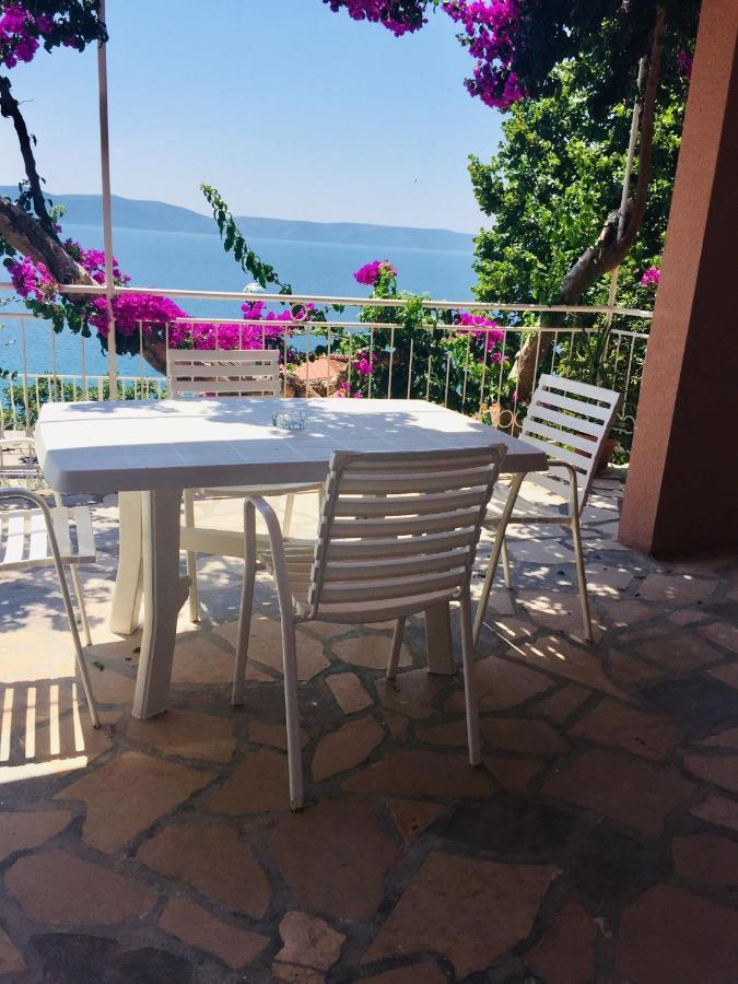 Apartments Jurakovic Živogošće Εξωτερικό φωτογραφία