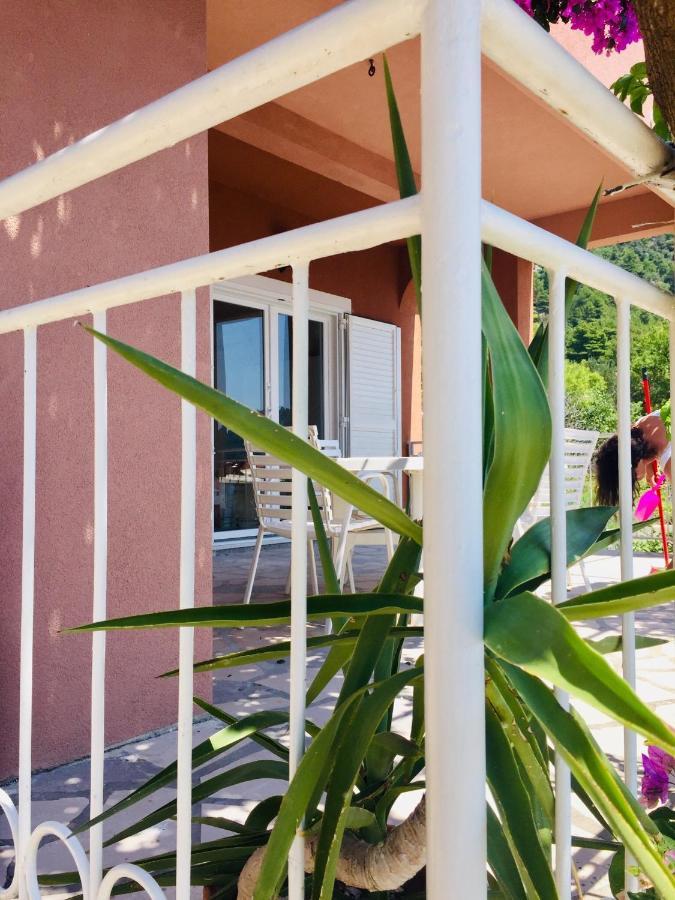 Apartments Jurakovic Živogošće Εξωτερικό φωτογραφία