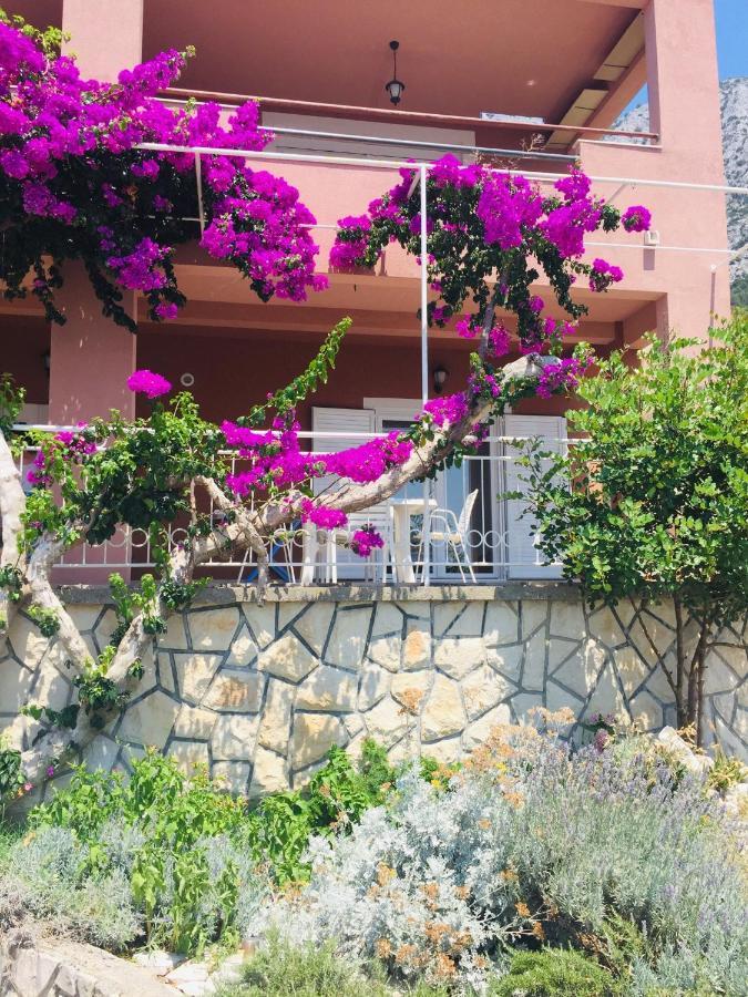 Apartments Jurakovic Živogošće Εξωτερικό φωτογραφία